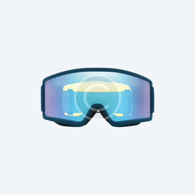 Ski goggles